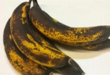 ماذا يفعل "الموز الأسود" بجسمك أثناء تناوله؟